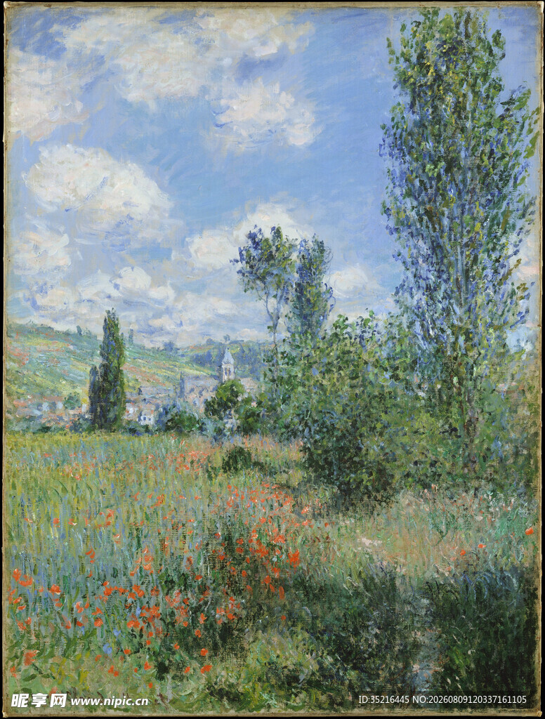 田野间的绚烂花卉风景