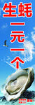 生蚝二元一个促销海报