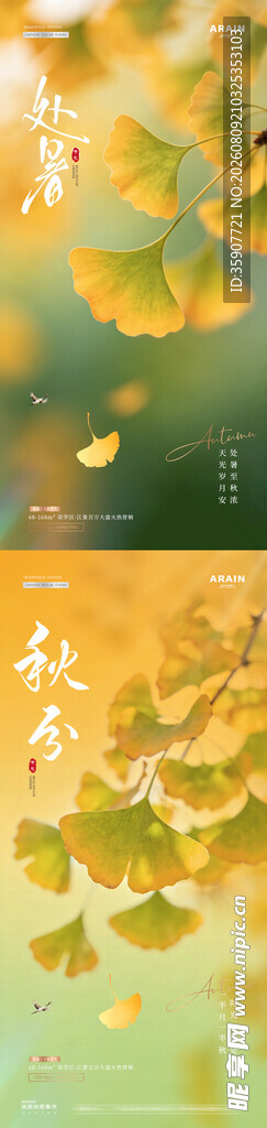 处暑秋分银杏叶节气海报
