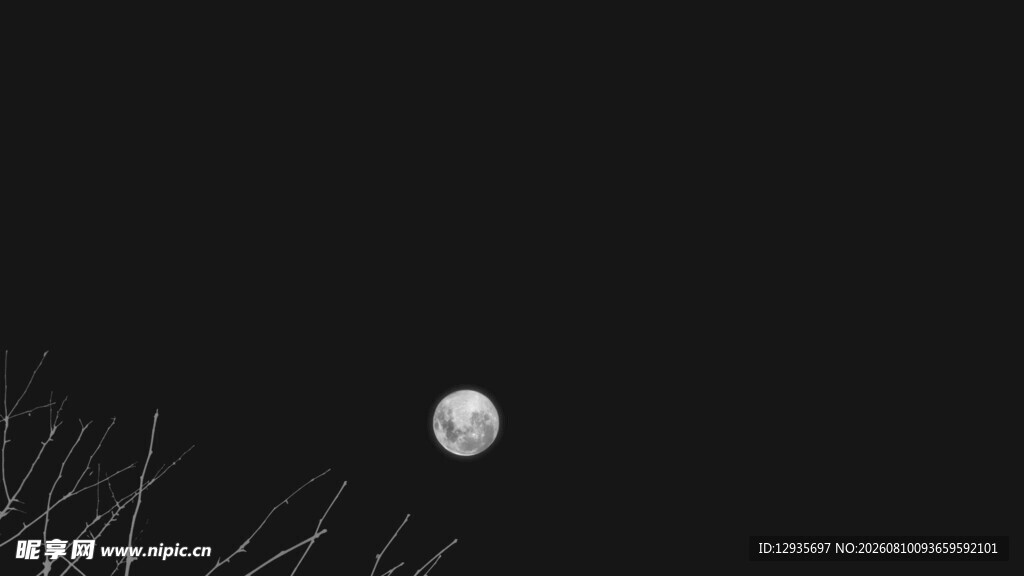 夜空中的孤月