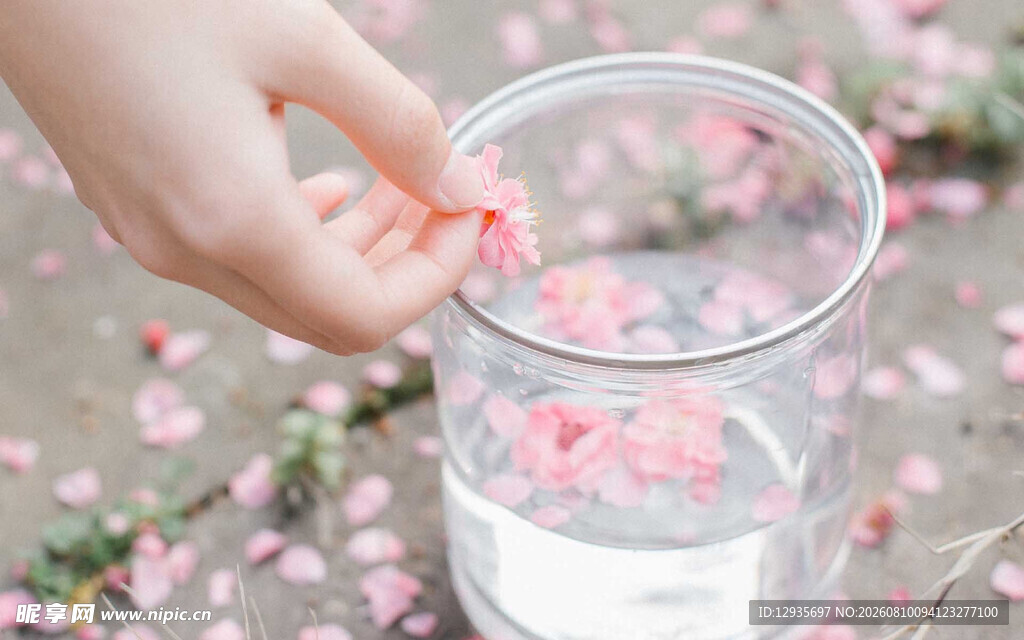 手放花瓣入透明水杯
