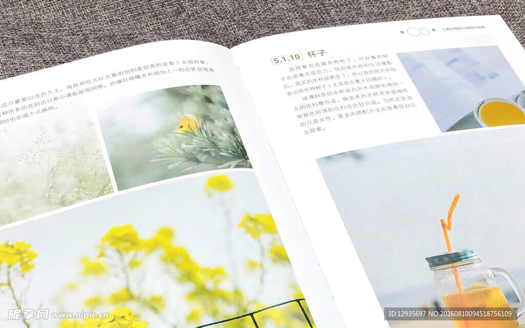 花卉摄影画册内页