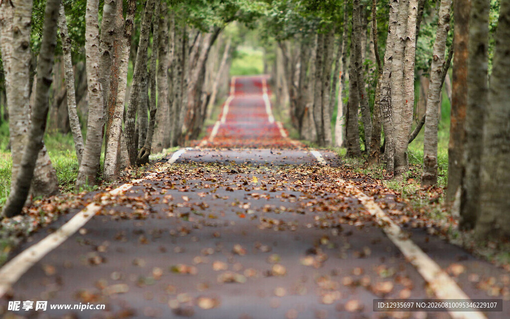 静谧步道