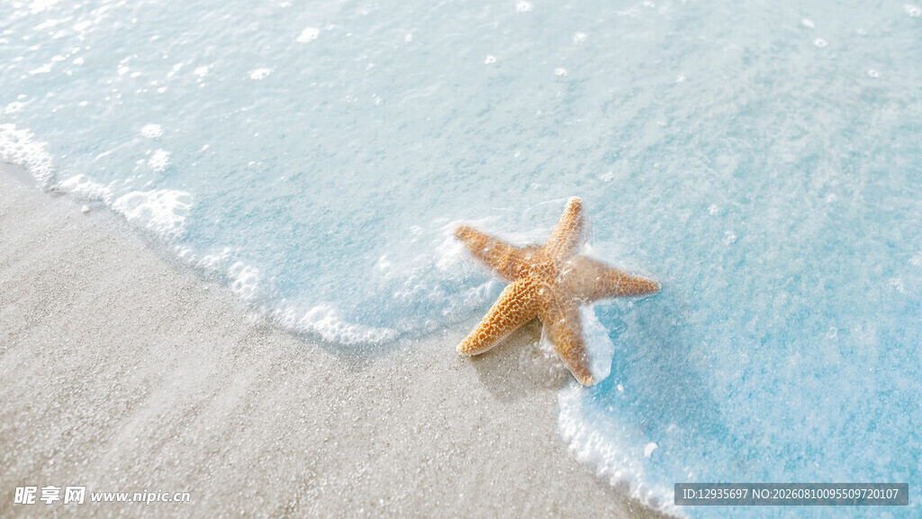 沙滩上的海星