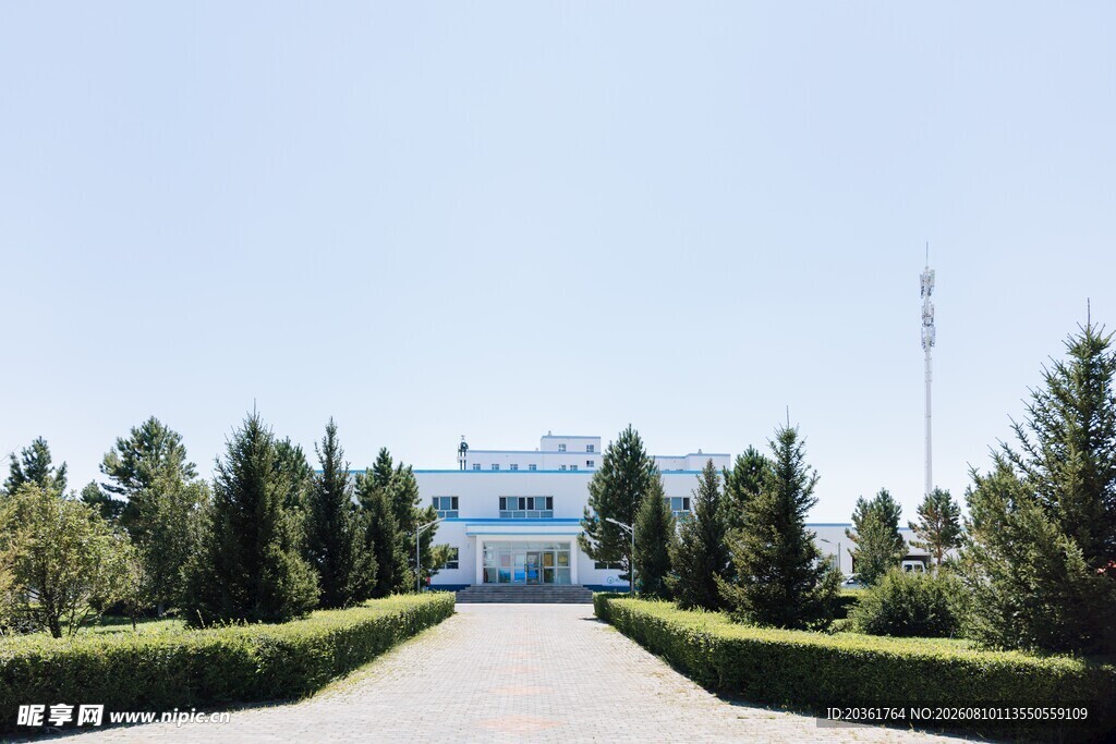 林荫大道尽头的白色建筑