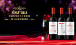 奢华菲仕乐红酒展示