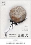 巨石下的成长力量