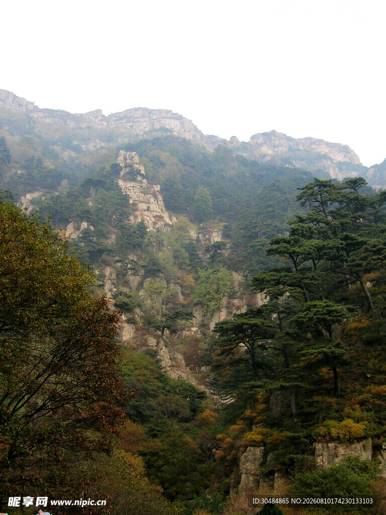 泰山主峰