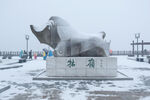 庐山牯岭镇冬天雪景