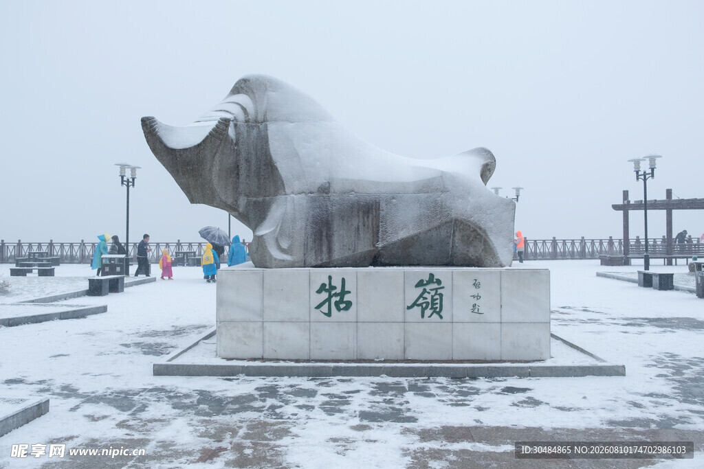 庐山牯岭镇冬天雪景