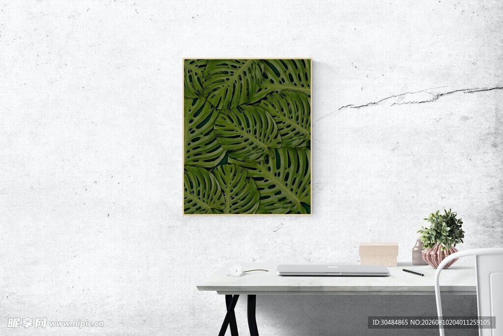 墙上绿植装饰画