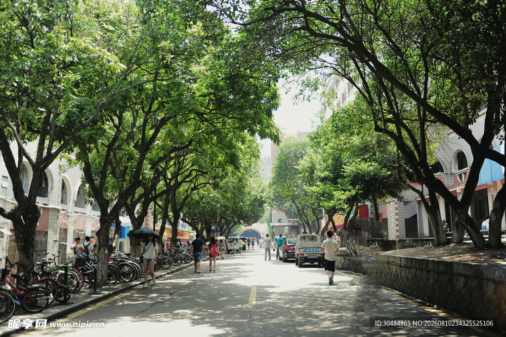 厦门大学林荫街道