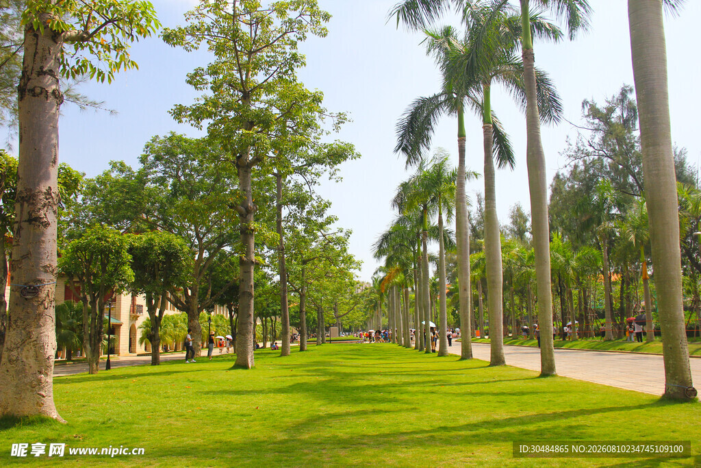 厦门大学旅游