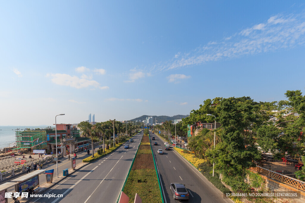 厦门道路旁的绿树与蓝天