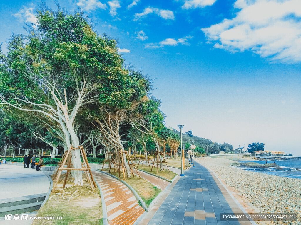 厦门海滨林荫步道风景