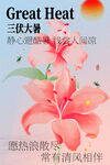 三伏大暑花朵节气海报