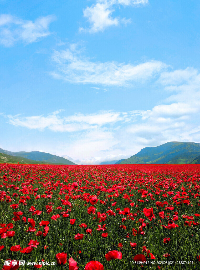红色花海蓝天青山相伴
