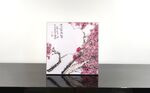 梅花摆台
