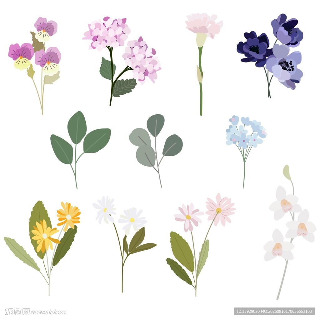 清新花卉素材