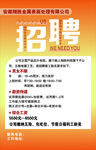 公司岗位招聘启事