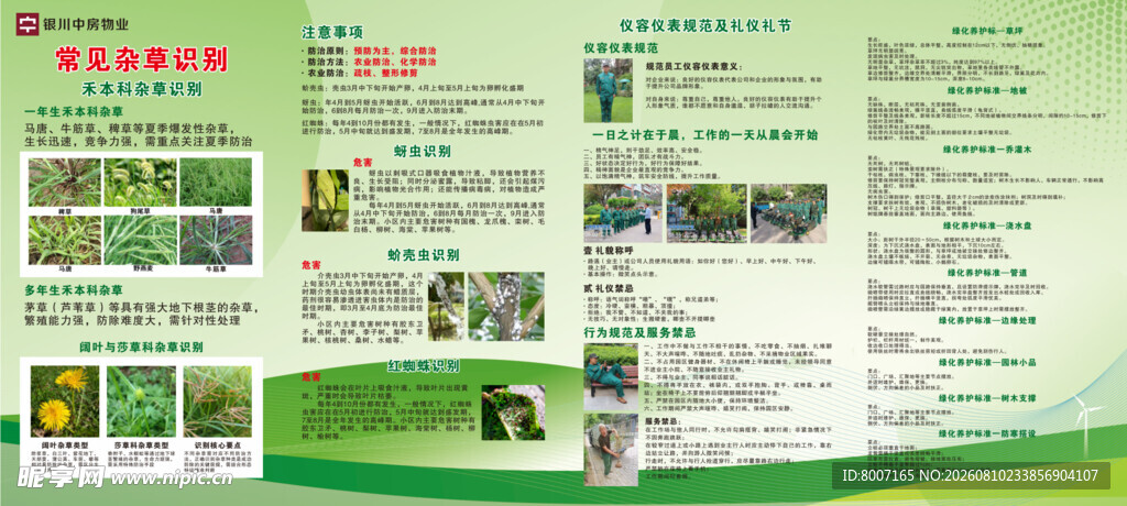 绿色环保宣传页展示