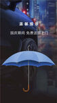 雨中蓝伞