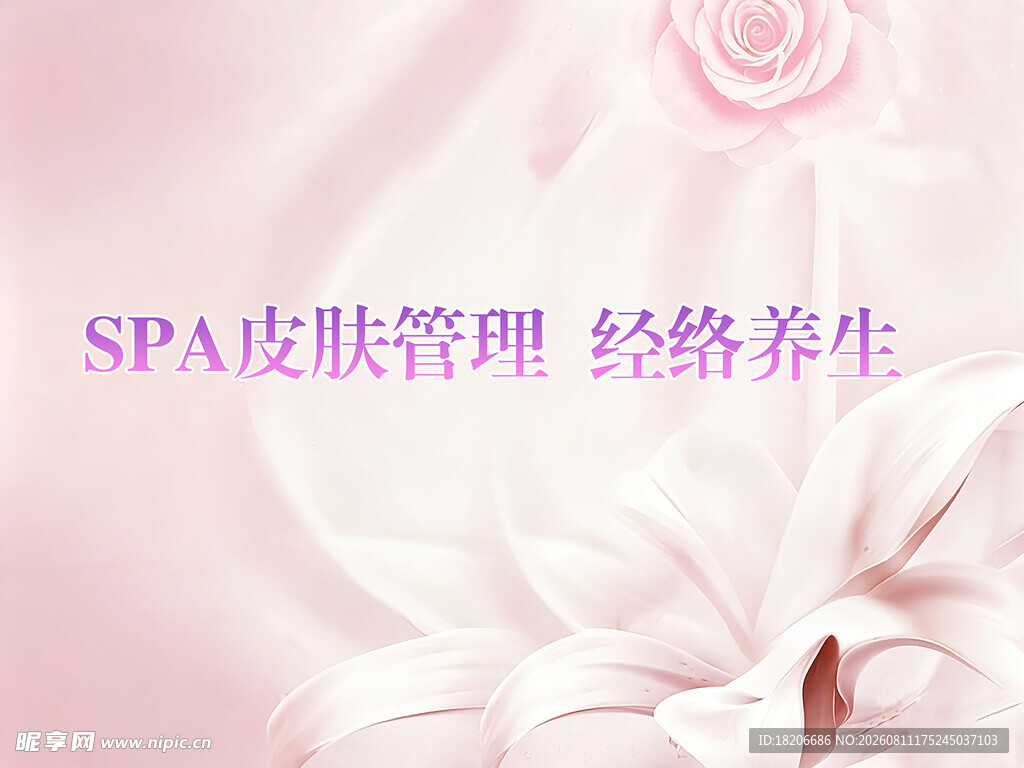SPA皮肤管理
