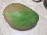 凯特芒