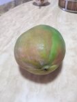 凯特芒