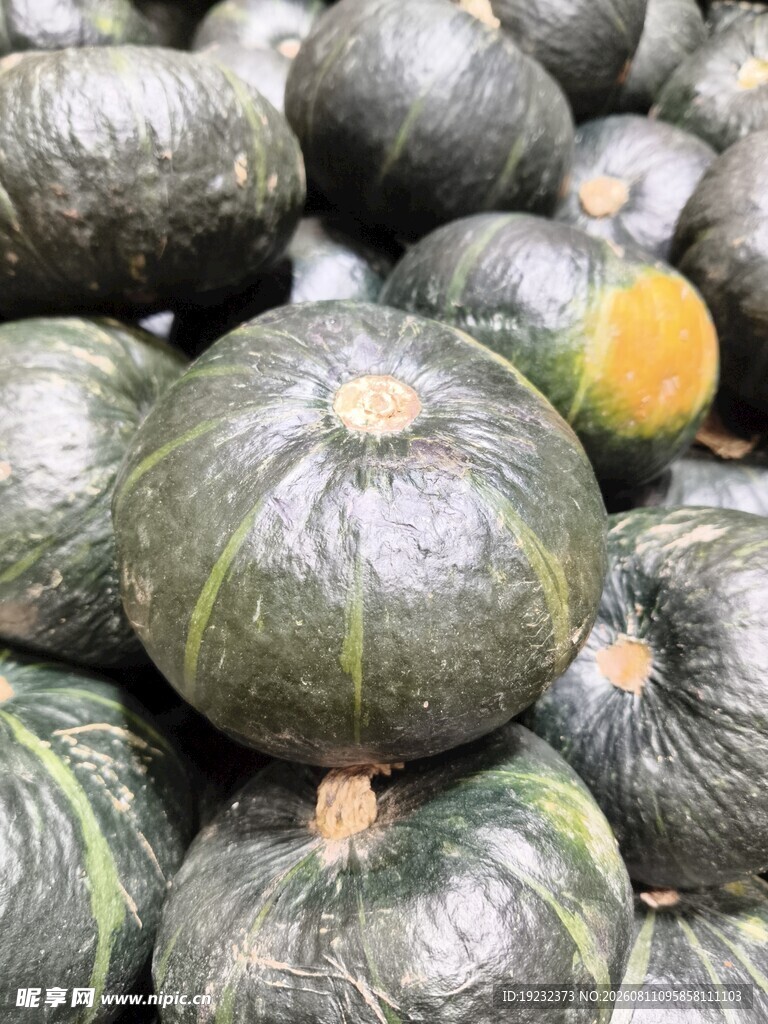 贝贝南瓜