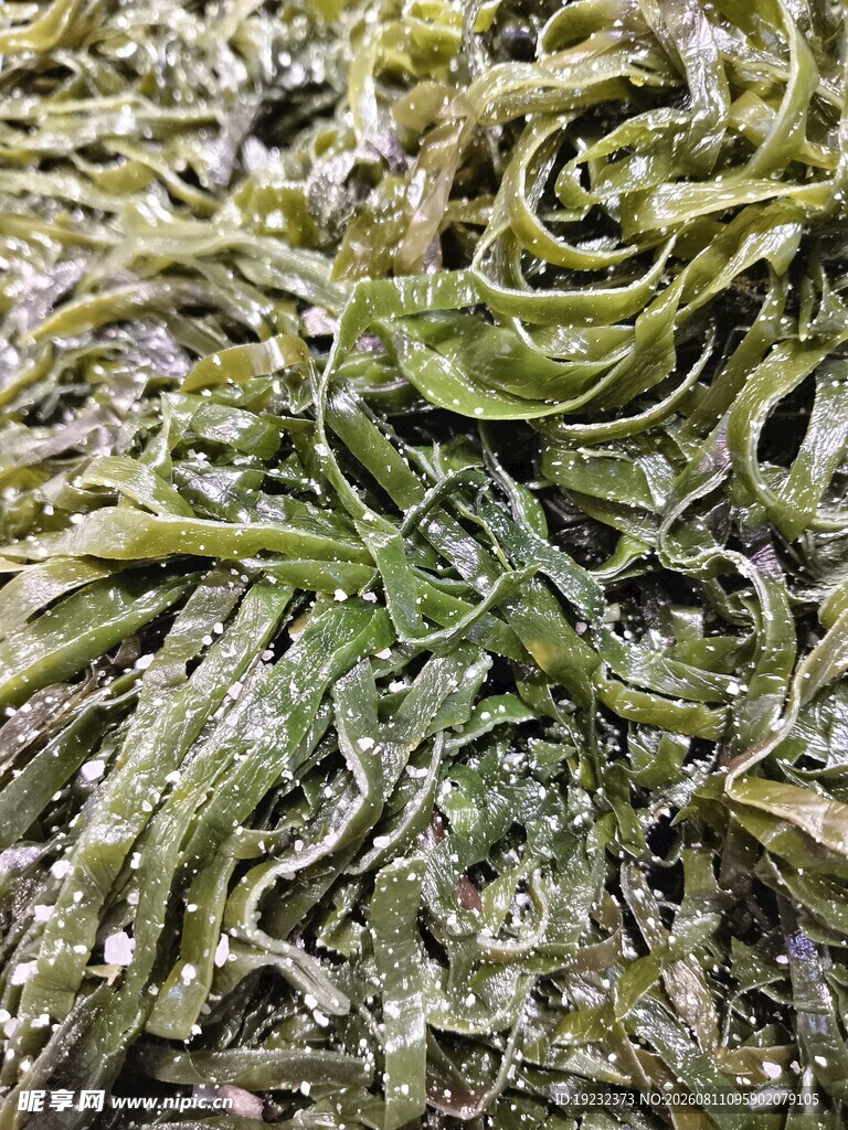 海带丝