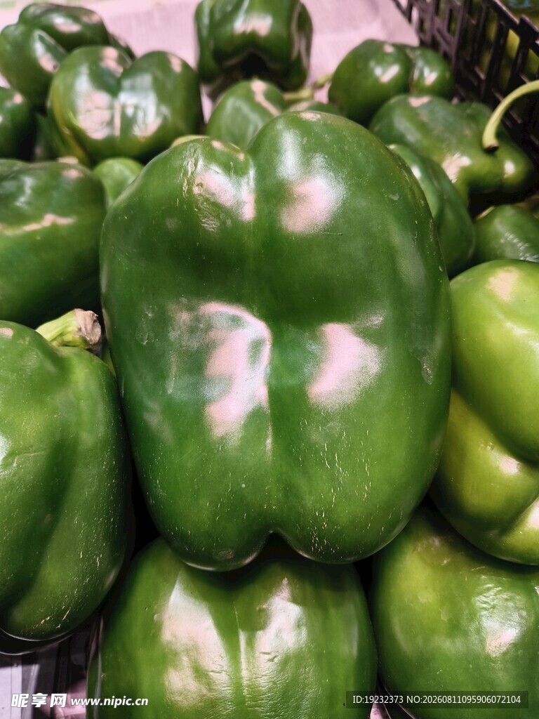 菜椒
