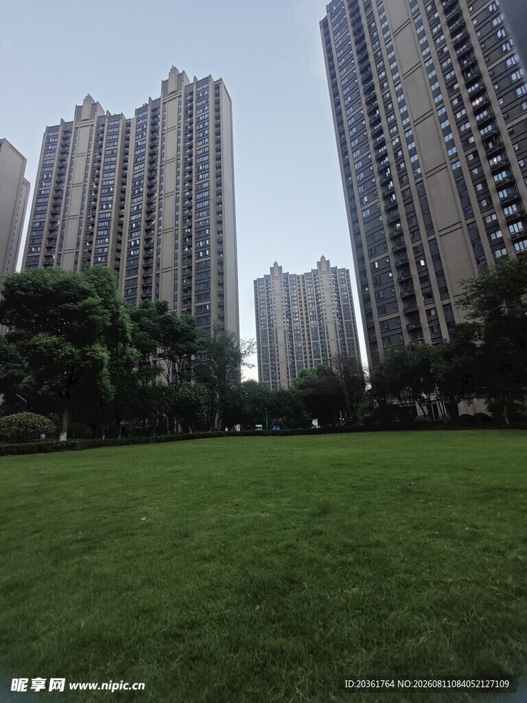城市绿地旁的高楼景观