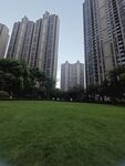 城市中绿地旁的高楼景观