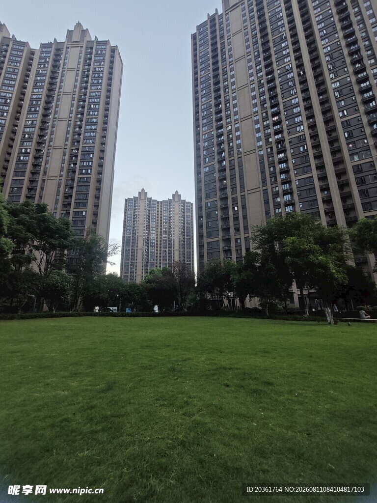 城市草坪旁的高楼景观
