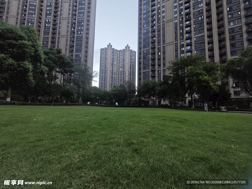 城市中开阔的绿地景观