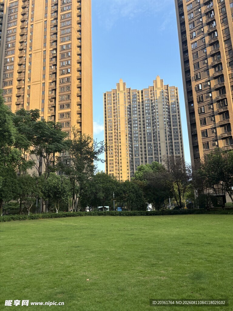 城市草坪旁的高楼景观
