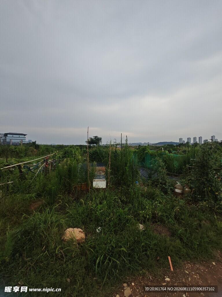 田野中的绿植与围栏景观