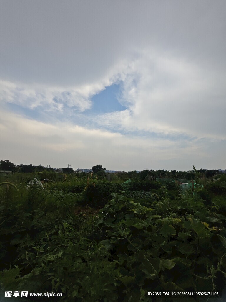 田野上空的多云景象