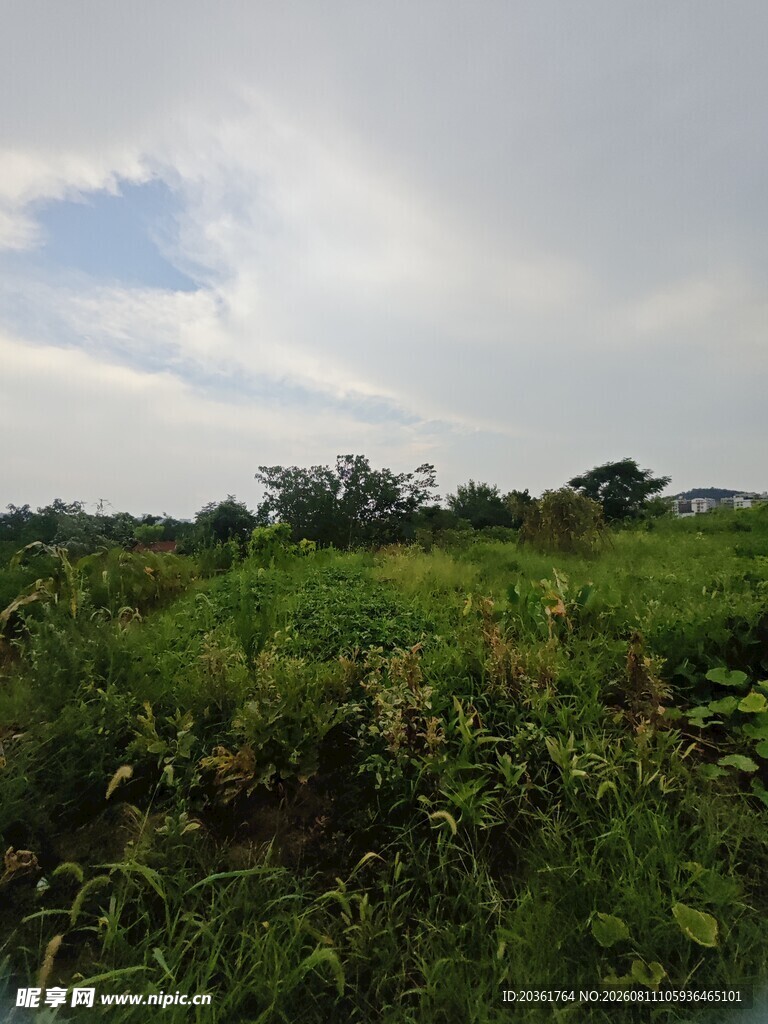 绿野蓝天