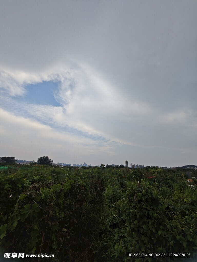 田野上空的美丽云彩
