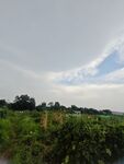 田野风光