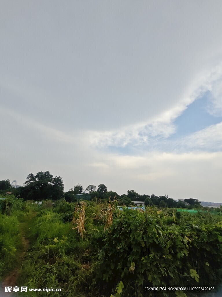 田野风光