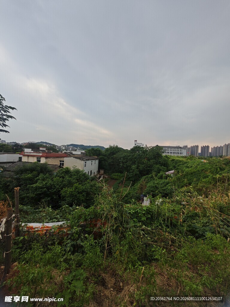 乡村田野景象