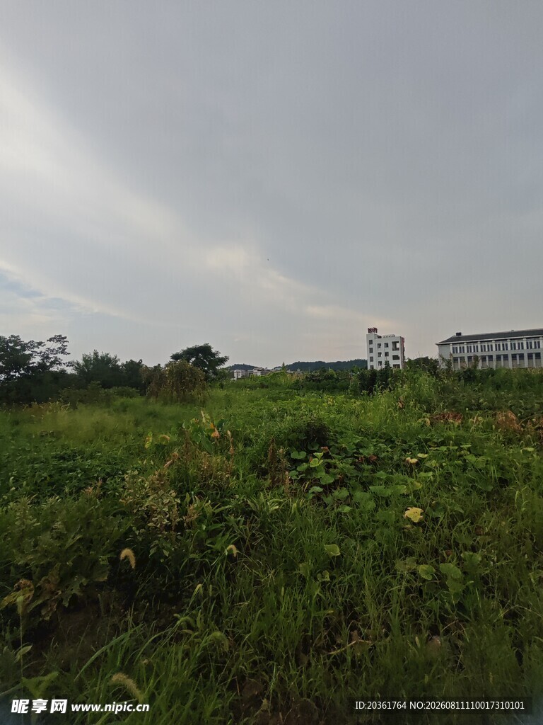 田野风光