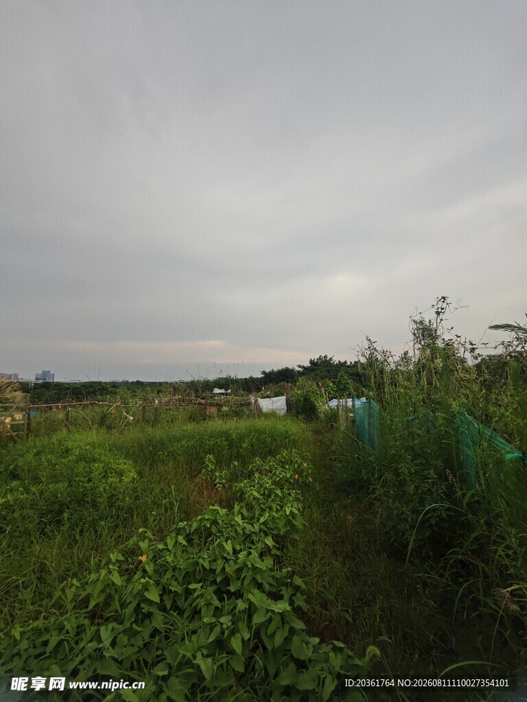 阴天田野景象