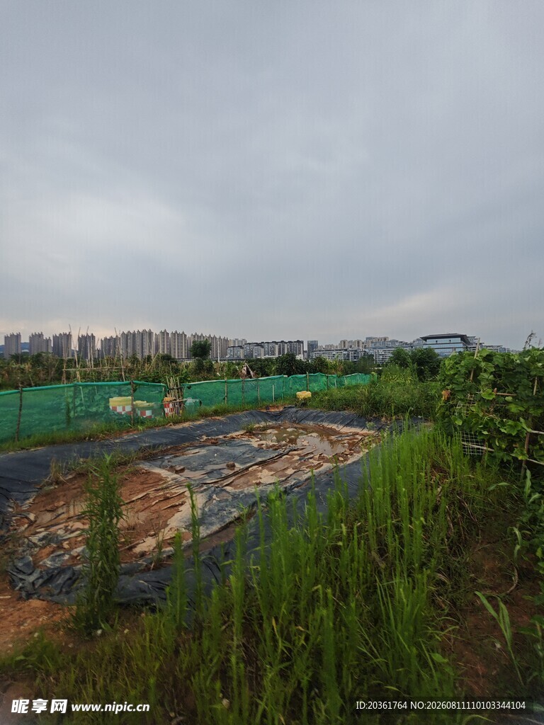 城郊待开发的绿色田野