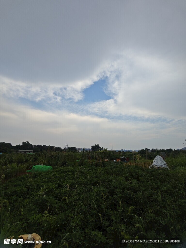 田园风光中的白色帐篷