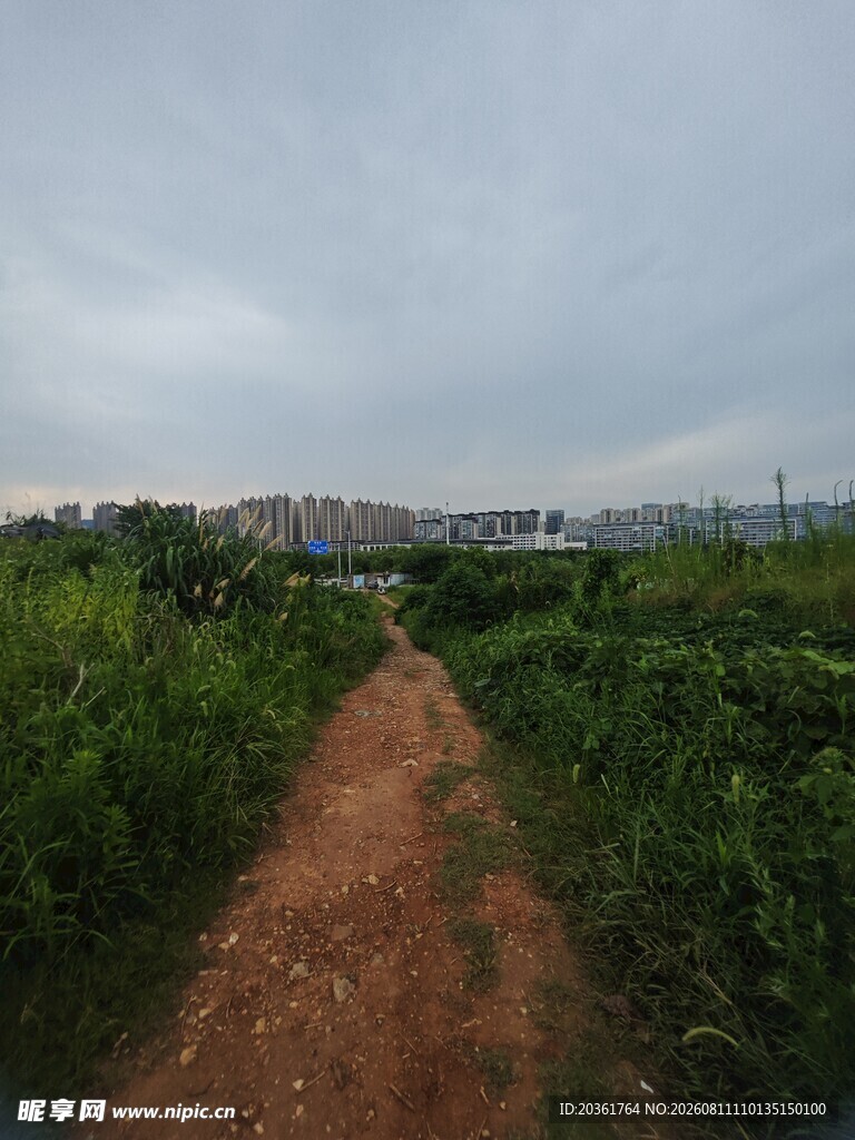 乡间小径穿行于绿意之中