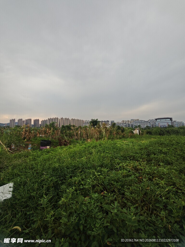 田野绿植与远处建筑景观